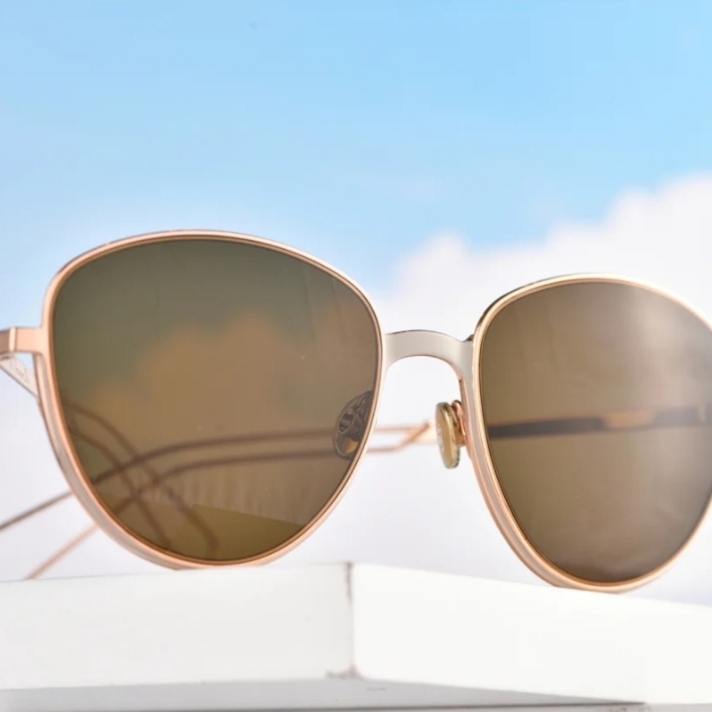 Dior Rose Gold and Black Sunglasses - Picture 5 of 12